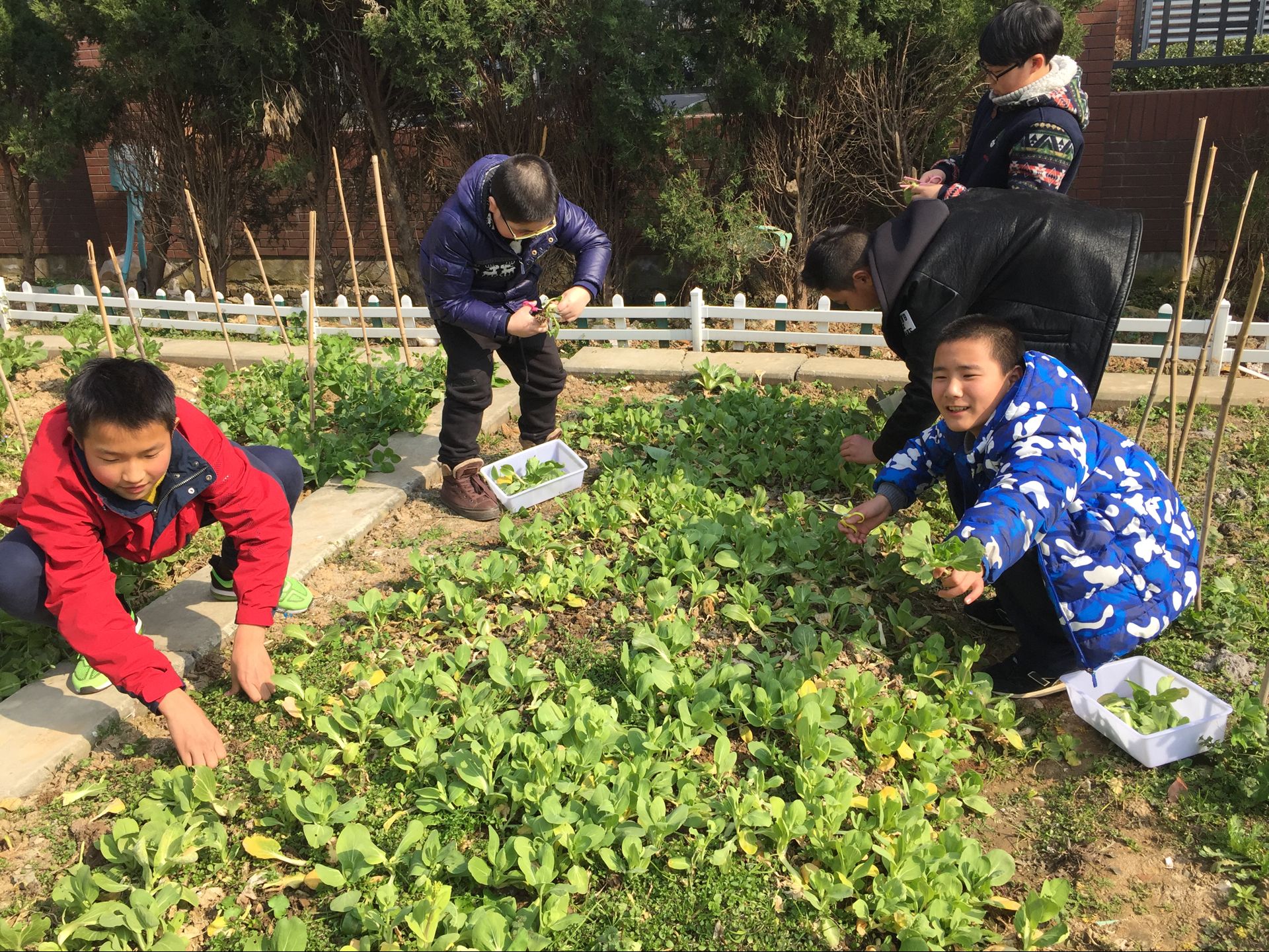 我们的作业“瘦身”不减质